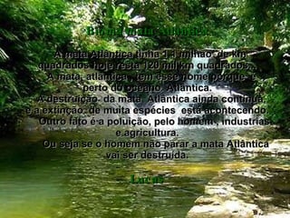 Bioma mata Atlântica   A mata Atlântica tinha 1,1 milhão  de km quadrados hoje resta 120 mil km quadrados...   A mata  atlântica , tem esse nome porque  é perto do oceano  Atlântica.   A destruição  da mata  Atlântica ainda continua, e a extinção  de muita espécies  está acontecendo.   Outro fato é a poluição, pelo homem , industrias e agricultura.   Ou seja se o homem não parar a mata Atlântica vai ser destruída. Lucas 
