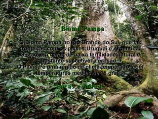Bioma Pampa O Bioma Pampa no Rio Grande do Sul, que faz fronteiras com os paises:Uruguai e Argentina. O solo, em geral, de baixa fertilidade natural e bastante suscetível a erosão.  O Pampa é uma região de clima temperado, com temperaturas médias de 18 graus. Lucas e Adriele 