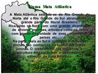 Bioma  Mata  Atlântica   A  Mata Atlântica  estende-se  do  Rio  Grande  do Norte  até  o Rio  Grande  do Sul  abrangendo  grande  parte  do  litoral  Brasileiro. Rica tanto  na flora  com  uma  grande  diversidade  de  árvores  enormes, arbustos como na  fauna com grande diversidade  de  aves ,  mamíferos  peixes  etc... Na parte  mais ao Sul é  cultivado o  delicioso pinhão  tão  conhecido  na época  das festas  juninas. O  crescimento das indústrias  e  agricultura está causando  a  destruição  e  extinção  da mata Atlântica. Bruna Caroline Mattos   