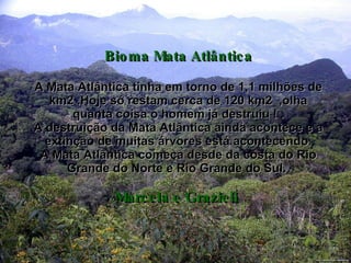 Bioma Mata Atlântica A Mata Atlântica tinha em torno de 1,1 milhões de km2 .Hoje só restam cerca de 120 km2  ,olha quanta coisa o homem já destruiu ! . A destruição da Mata Atlântica ainda acontece e a extinção de muitas árvores está acontecendo. A Mata Atlântica começa desde da costa do Rio Grande do Norte e Rio Grande do Sul.  Marcela e Grazieli   