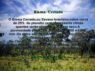 Bioma  Cerrado O Bioma Cerrado,ou Savana brasileira,cobre cerca de 25%  do planalto central,apresenta climas quentes verão chuvoso e inverno seco.A  pluviosidade anual fica  em torno de 800 a 1.600 mm .Os solos são muitos antigos , quimicamente  pobres e profundos.  No Cerrado , durante a seca , ocorrem queimadas  que matam a vegetação e os animais .Mas  um bioma perdendo sua biodiversidade. Marcela e Gustavo 