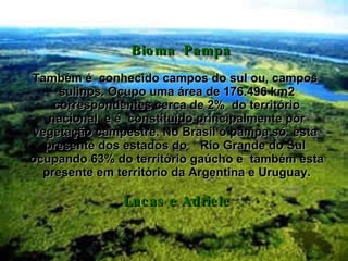 Bioma  Pampa Também é  conhecido campos do sul ou, campos  sulinos. Ocupo uma área de 176.496 km2 correspondentes cerca de 2%  do território nacional  e é  constituído principalmente por vegetação campestre. No Brasil o pampa só  esta  presente dos estados do  Rio Grande do Sul  ocupando 63% do território gaúcho e  também esta presente em território da Argentina e Uruguay. Lucas e Adriele 