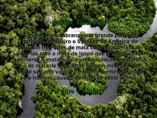 BIOMA Amazônia  É maior bioma abrangendo grande parte do território Brasileiro e 5 países da América do Sul.Com três tipos de mata com características próprias com a mata de igapó que é uma floresta submersa.A mata  várzia  de inundação temporária e a de mata de terra firme rica em minérios que divido seu alto valor é constantemente explorado pelo homem,causa a destruição deste bioma.  Pedro e Sidinei 