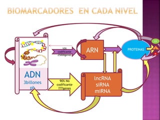ADN
3billones
pb
ARN PROTEINAS10%
codificante
25000genes
90% No
codificante
????genes
lncRNA
siRNA
miRNA
CH
M
L
 