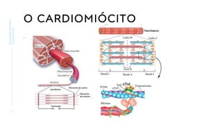 O CARDIOMIÓCITO
.
1 1
BIOMARCADORES
CARDÍACOS
 