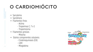 O CARDIOMIÓCITO
.
1 2
BIOMARCADORES
CARDÍACOS
• Sarcolema
• Sarcômero
• Filamentos finos
- Actina
- Troponinas C, T e I
- Tropomiosina
• Filamentos grossos
- Miosina
• Outros componentes celulares:
- Creatinoquinases (CK)
- LDH
- Mioglobina
 