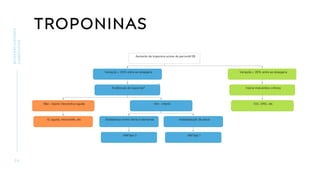 TROPONINAS
2 6
BIOMARCADORES
CARDÍACOS
 