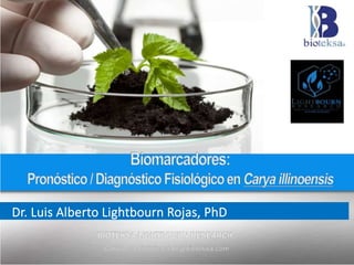 Dr. Luis Alberto Lightbourn Rojas, PhD
 
