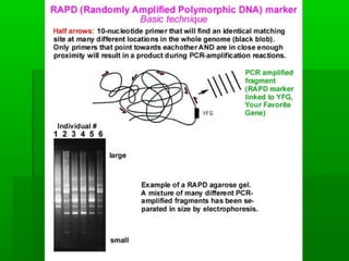 Biomarker | PPT
