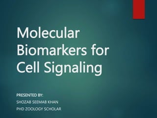 Molecular
Biomarkers for
Cell Signaling
PRESENTED BY:
SHOZAB SEEMAB KHAN
PHD ZOOLOGY SCHOLAR
 