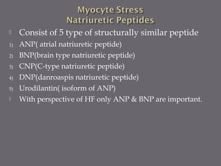  Consist of 5 type of structurally similar peptide
1) ANP( atrial natriuretic peptide)
2) BNP(brain type natriuretic peptide)
3) CNP(C-type natriuretic peptide)
4) DNP(danroaspis natriuretic peptide)
5) Urodilantin( isoform of ANP)
 With perspective of HF only ANP & BNP are important.
 