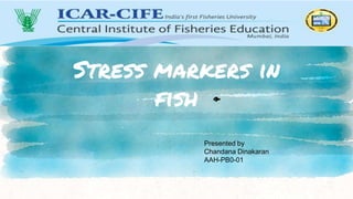 Stress markers in
fish
Presented by
Chandana Dinakaran
AAH-PB0-01
🐟
 