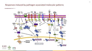 Development of diagnostic tools to reduce antimicrobial (mis)use: Novel identified biomarkers and available biobanked samples