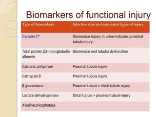 Biomarkers of functional injury
 
