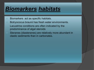 Biomarkers habitats
 Biomarkers act as specific habitats.
 Botryococus braunii has fresh water environments.
 Lacustrine conditions are often indicated by the
predominance of algal steroids
 Steranes (diasteranes) are relatively more abundant in
clastic sediments than in carbonates.
 