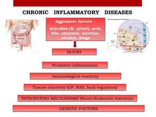 CHRONIC         INFLAMMATORY                DISEASES
                 Aggressive factors :
              microbes (H. pylori), acid,
              bile, enzymes, nicotine,
                    alcohol, drugs


                       INJURY


               Persistent inflammation

               Immunological reactivity

     Tissues reactivity (GF, BAS, local regulators)

INTEGRATING MECHANISMS (Neuro-Endocrine reactivity)

                   GENETIC FACTORS
 