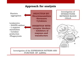 Approach for analysis
                                                  Investigation of
Platelets              INDUCTION BY:              INTERACTIONS
-aggregation          -Neurotransmitters         BETWEEN BLOOD
                          -Hormones                   CELLS
                          -Cytokines
Leukocytes:
- NADPH-oxidase       INHIBITION WITH
- L-arginine          -receptor blockers
metabolism
- Cytokine
                        - Inhibitors of
production               enzymes and
-Phagocytosis            transductors




   Investigation of the EXPRESSION PATTERN AND
                FUNCTION OF miRNAs
 