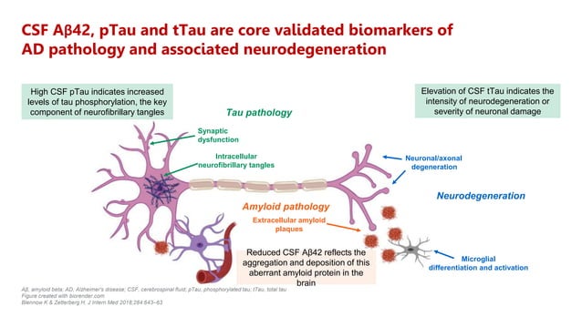 Role of Biomarkers in Alzheimers Disease | PPTX | Brain and Nervous ...