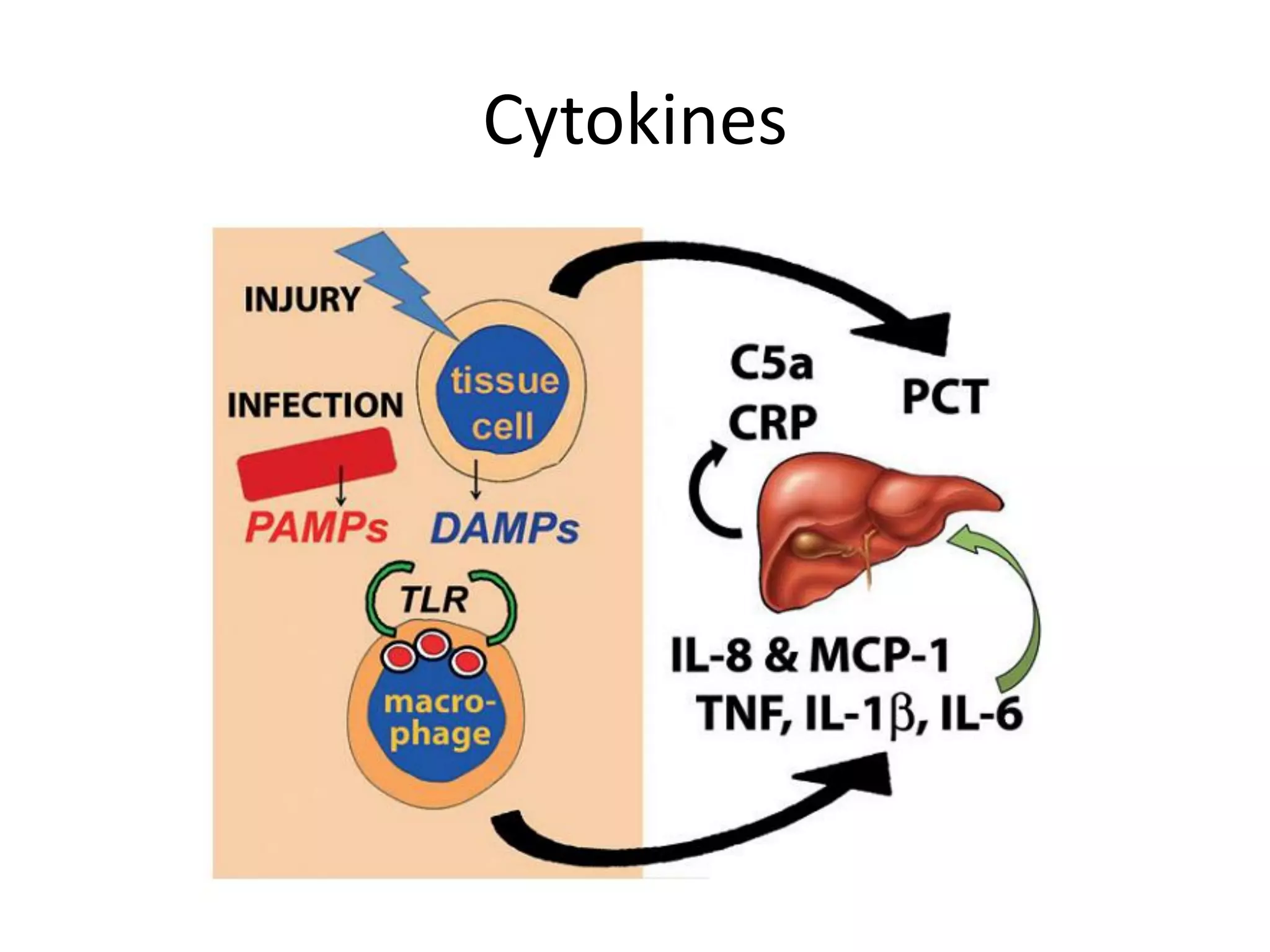 Biomarkers in sepsis | PDF