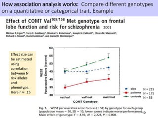 10
How association analysis works: Compare different genotypes
on a quantitative or categorical trait. Example
N = 219
N = 175
N = 55
Effect size can
be estimated
using
correlation
between N
risk alleles
and
phenotype.
Here r ≈ .15
2001
 