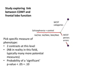 Pick specific measure of
phenotype:
• 2 contrasts at this level
• (NB in reality in this field,
typically many more potential
measures)
• Probability of a ‘significant’
p-value < .05 = .10
Study exploring link
between COMT and
frontal lobe function
Schizophrenia + control
Val/Val, Val/Met, Met/Met
WCST
categories
WCST
persev.
errors
 