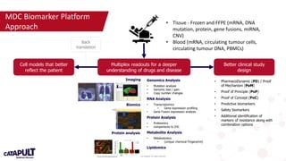Webinar: Turning Molecules into Medicines | POTX