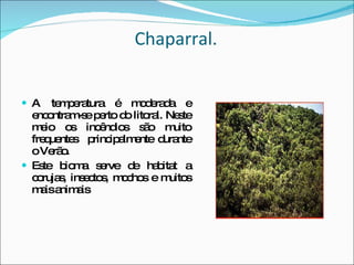 Chaparral. A temperatura é moderada e encontram-se perto do litoral. Neste meio os incêndios são muito frequentes  principalmente durante o Verão. Este bioma serve de habitat a corujas, insectos, mochos e muitos mais animais 