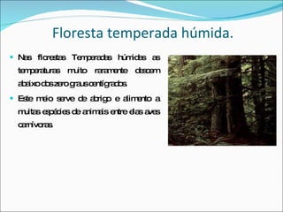 Floresta temperada húmida. Nas florestas Temperadas húmidas as temperaturas muito raramente descem abaixo dos zero graus centígrados. Este meio serve de abrigo e alimento a muitas espécies de animais entre elas aves carnívoras. 