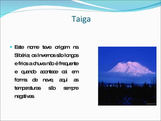 Taiga Este nome teve origem na Sibéria; os Invernos são longos e frios a chuva não é frequente e quando acontece cai em forma de neve, aqui as temperaturas são sempre negativas. 