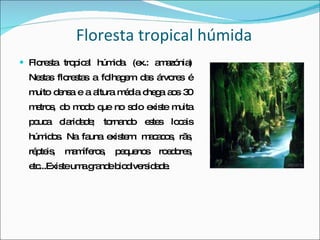 Floresta tropical húmida Floresta tropical húmida. (ex.: amazónia) Nestas florestas a folhagem das árvores é muito densa e a altura média chega aos 30 metros, do modo que no solo existe muita pouca claridade; tornando estes locais húmidos. Na fauna existem: macacos, rãs, répteis, mamíferos, pequenos roedores, etc...Existe uma grande biodiversidade.  