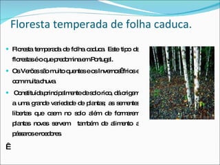 Floresta temperada de folha caduca. Floresta temperada de folha caduca. Este tipo de florestas é o que predomina em Portugal.  Os Verões são muito quentes e os Invernos  frios e com muita chuva. Constituída principalmente de solo rico, dá origem a uma grande variedade de plantas; as sementes libertas que caem no solo além de formarem plantas novas servem  também de alimento a pássaros e roedores.   
