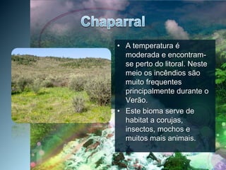 ChaparralA temperatura é moderada e encontram-se perto do litoral. Neste meio os incêndios são muito frequentes  principalmente durante o Verão.Este bioma serve de habitat a corujas, insectos, mochos e muitos mais animais.
