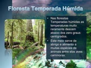 Floresta Temperada HúmidaNas florestas Temperadas húmidas as temperaturas muito raramente descem abaixo dos zero graus centígrados.Este meio serve de abrigo e alimento a muitas espécies de animais entre elas aves carnívoras.
