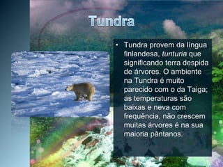 TundraTundra provem da língua finlandesa, tunturiaque significando terra despida de árvores. O ambiente na Tundra é muito parecido com o da Taiga; as temperaturas são baixas e neva com frequência, não crescem muitas árvores é na sua maioria pântanos. 
