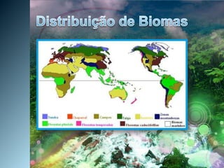Distribuição de Biomas