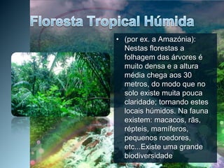 Floresta Tropical Húmida(por ex. a Amazónia): Nestas florestas a folhagem das árvores é muito densa e a altura média chega aos 30 metros, do modo que no solo existe muita pouca claridade; tornando estes locais húmidos. Na fauna existem: macacos, rãs, répteis, mamíferos, pequenos roedores, etc...Existe uma grande biodiversidade