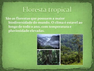 São as florestas que possuem a maior  biodiversidade do mundo. O clima é estavel ao longo de todo o ano, com temperatura e pluviosidade elevadas.Floresta tropical