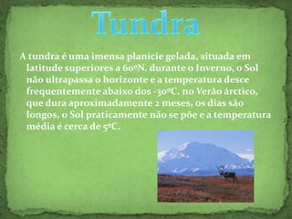  A tundra é uma imensa planície gelada, situada em latitude superiores a 60ºN. durante o Inverno, o Sol não ultrapassa o horizonte e a temperatura desce frequentemente abaixo dos -30ºC. no Verão árctico, que dura aproximadamente 2 meses, os dias são longos, o Sol praticamente não se põe e a temperatura média é cerca de 5ºC.Tundra