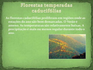 As florestas caducifólias proliferam em regiões onde as estações do ano são bem demarcadas. O Verão é ameno. As temperaturas são relativamente baixas. A precipitação é mais ou menos regular durante todo o ano.Florestas temperadas caducifólias