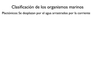 Clasiﬁcación de los organismos marinos
Plactónicos: Se desplazan por el agua arrastrados por la corriente




 Platelmintos
 