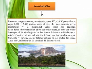 Zonas hidrófilas
Presentan temperaturas muy moderadas, entre 10º y 20º C posee alturas
entre 1.000 y 3.000 metros sobre el nivel del mar, presenta selvas
montañosas y la lluviosidad varía según las regiones.
Estas zonas se encuentran en el sur del estado sucre, al norte del estado
Monagas, al sur de Guayana, en los límites del estado miranda con el
estado Guárico, al sur del distrito federal, en los estados Aragua,
Carabobo y Yaracuy, en las laderas andinas en los límites del estado
Zulia con Colombia y en las serranías del estado Falcón.
 