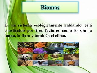Biomas
Es un sistema ecológicamente hablando, está
constituido por tres factores como lo son la
fauna, la flora y también el clima.
 