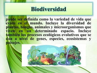 Biodiversidad
puede ser definida como la variedad de vida que
existe en el mundo. Incluye la diversidad de
plantas, hongos, animales y microorganismos que
viven en un determinado espacio. Incluye
también los procesos ecológicos evolutivos que se
dan a nivel de genes, especies, ecosistemas y
paisajes.
 