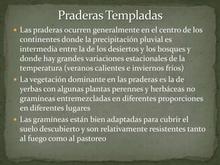 Praderas TempladasLas praderas ocurren generalmente en el centro de los continentes donde la precipitación pluvial es intermedia entre la de los desiertos y los bosques y donde hay grandes variaciones estacionales de la temperatura (veranos calientes e inviernos fríos)La vegetación dominante en las praderas es la de yerbas con algunas plantas perennes y herbáceas no gramíneas entremezcladas en diferentes proporciones en diferentes lugaresLas gramíneas están bien adaptadas para cubrir el suelo descubierto y son relativamente resistentes tanto al fuego como al pastoreo 