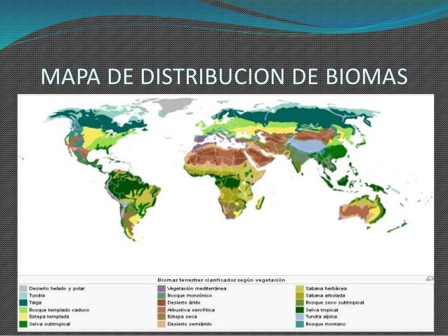 Biomas
