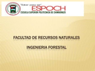     FACULTAD DE RECURSOS NATURALESINGENIERIA FORESTAL 