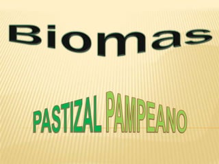 Biomas PASTIZALPAMPEANO 