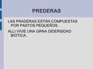 PREDERAS LAS PRADERAS ESTÁN COMPUESTAS POR PASTOS PEQUEÑOS.