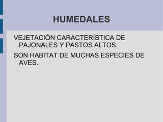 ALLI VIVIE UNA GRNA DIDERSIDAD BIÓTICA.