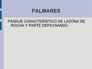 HUMEDALES VEJETACIÓN CARACTERÍSTICA DE PAJONALES Y PASTOS ALTOS.